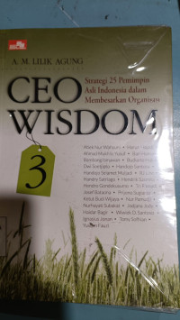Image of Ceo Wisdom