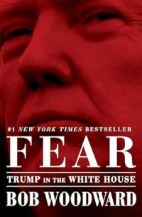 Image of Fear: Trump in the White House