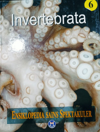 Image of Invertebrata