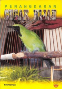 Penangkaran cucak hijau