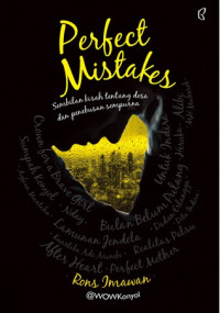 Image of Perfect Mistakes