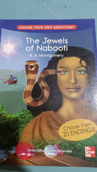 Image of The Jewels of Nabooti