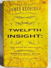 Image of THE TWELFTH INSIGHT