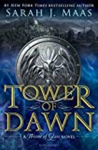 Image of TOWER of Dawn