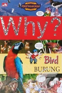 Image of WHY? Bird Burung